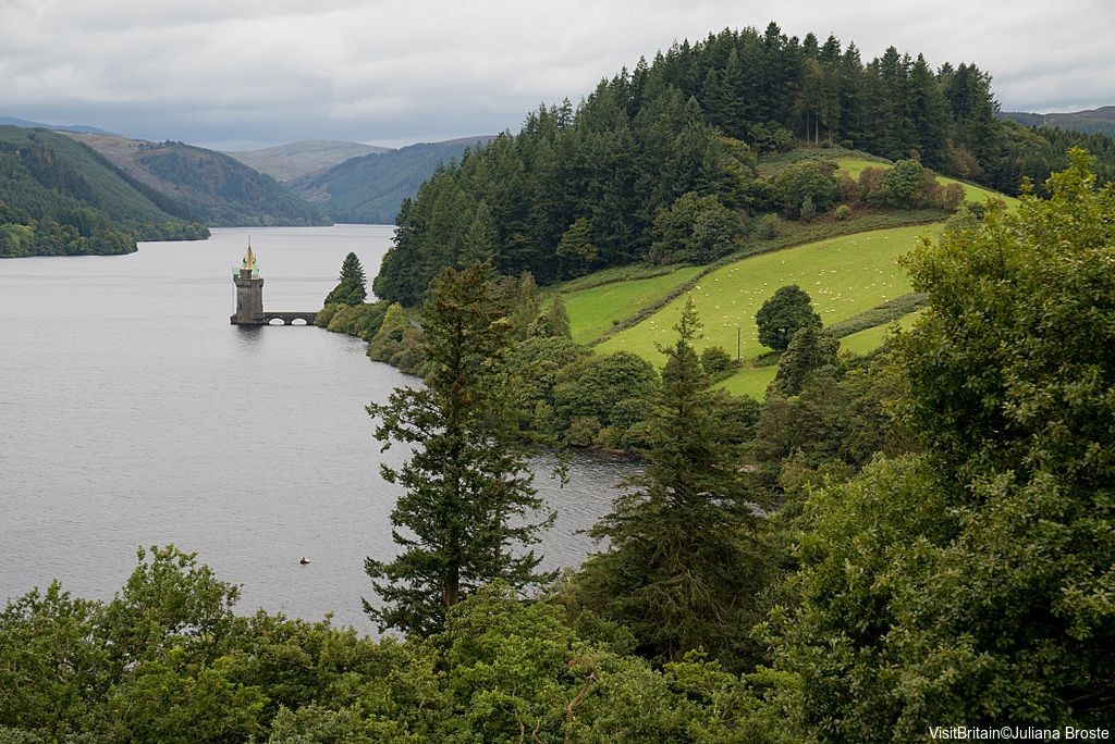 威恩威湖自然保護區  RSPB Lake Vyrnwy Nature Reserve