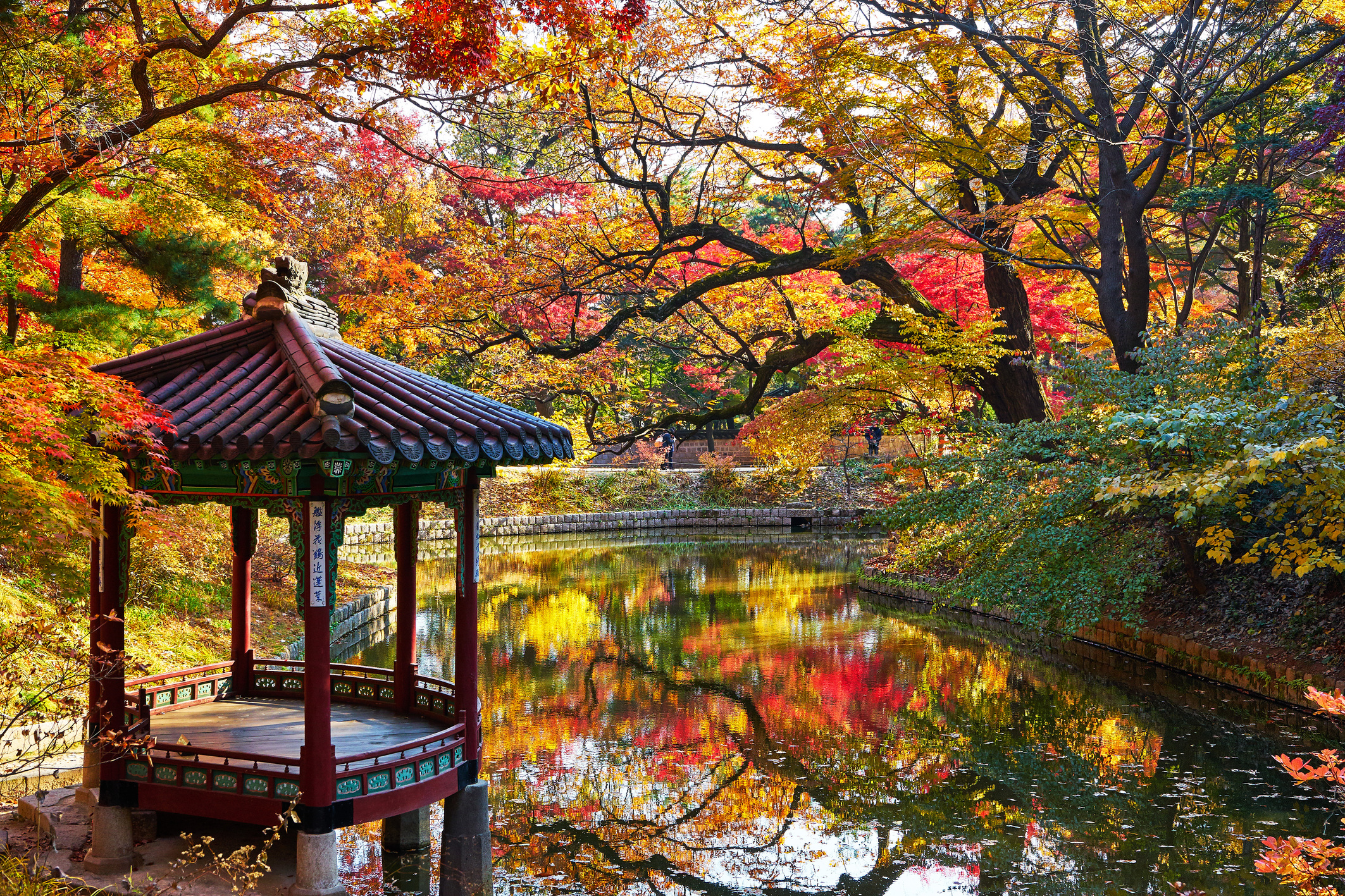 Autumn of Gwallamji Pond