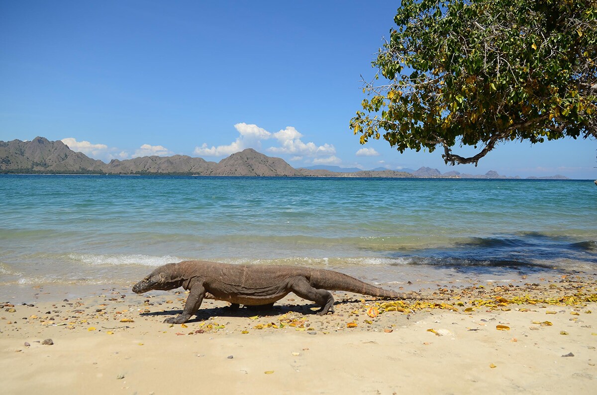 Labuan Bajo